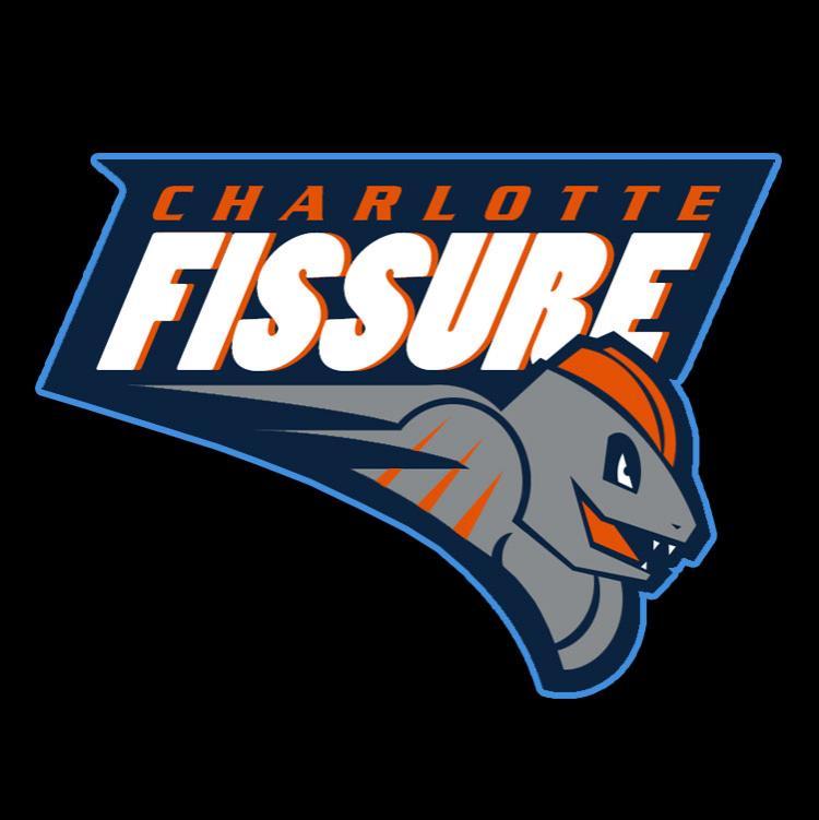 Charlotte Bobcats Pokemon logo iron on heat transfer